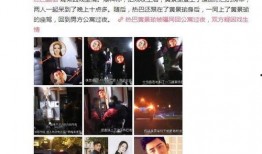 顽劣粉丝爆料视频,揭秘顽劣粉丝的狂热行为